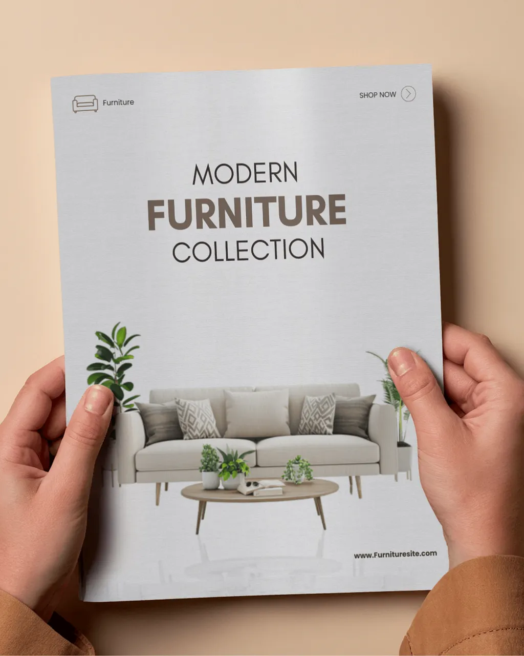 Modern furniture collection brochure held in hands